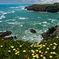 California Coast Photograph by Harry Spitz California Coast Photograph by Harry Spitz