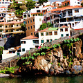 Camara de Lobos on the island of Madeira Photograph by Brenda Kean Camara de Lobos on the island of Madeira Photograph by Brenda Kean