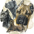Cane Corso Medley by Barbara Keith Cane Corso Medley by Barbara Keith