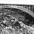 Canyon Bridge by Phyllis Denton Canyon Bridge by Phyllis Denton