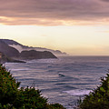 Cape Perpetua, Oregon coast Photograph by Bryan Xavier Cape Perpetua, Oregon coast Photograph by Bryan Xavier