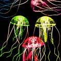Captivating Connectivity by Jorgo Photography - Wall Art Gallery Captivating Connectivity by Jorgo Photography - Wall Art Gallery