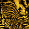 Interlaced Lines by Beauty of Science Interlaced Lines by Beauty of Science