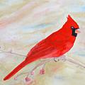 Cardinal Watching Painting by Laurel Best Cardinal Watching Painting by Laurel Best