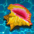 Caribbean Conch Painting by Daniel Jean-Baptiste Caribbean Conch Painting by Daniel Jean-Baptiste