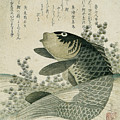 Carp among pond plants by Ryuryukyo Shinsai Carp among pond plants by Ryuryukyo Shinsai