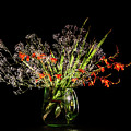 Cascade of white and orange. Photograph by Torbjorn Swenelius Cascade of white and orange. Photograph by Torbjorn Swenelius