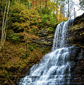 Cascades Lower Falls Photograph by Joe Shrader Cascades Lower Falls Photograph by Joe Shrader