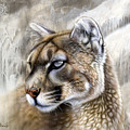 Catamount Painting by Sandi Baker Catamount Painting by Sandi Baker