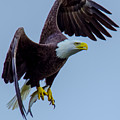 Catch of the Day by Jeff at JSJ Photography