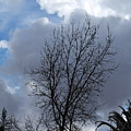 Caught Between the Storms Photograph by Michele Myers Caught Between the Storms Photograph by Michele Myers