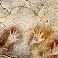 Cave of El Castillo Hands and Bison Photograph by Weston Westmoreland Cave of El Castillo Hands and Bison Photograph by Weston Westmoreland
