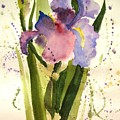 Celebrating Life Painting by Maria Hunt Celebrating Life Painting by Maria Hunt