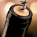 Celebration time Photograph by Johan Swanepoel Celebration time Photograph by Johan Swanepoel