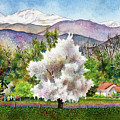 Celeste's Farm Painting by Anne Gifford Celeste's Farm Painting by Anne Gifford