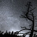 Celestial Stellar Dark Universe Photograph by James BO Insogna Celestial Stellar Dark Universe Photograph by James BO Insogna