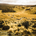 Central highlands of Tasmania by Jorgo Photography