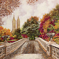 Central Park by Guido Borelli Central Park by Guido Borelli