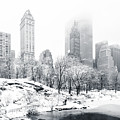 Central Park by Mihai Andritoiu Central Park by Mihai Andritoiu