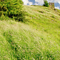 Chapel on the top. Photograph by Elena Perelman Chapel on the top. Photograph by Elena Perelman