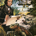 Charles Darwin on the Galapagos Islands by Andrew Howat Charles Darwin on the Galapagos Islands by Andrew Howat
