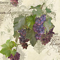 Chateau Pinot Noir Vineyards - Vintage Style Tapestry - Textile by Audrey Jeanne Roberts Chateau Pinot Noir Vineyards - Vintage Style Tapestry - Textile by Audrey Jeanne Roberts