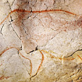 Chauvet Cave Bear 3 Digital Art by Weston Westmoreland Chauvet Cave Bear 3 Digital Art by Weston Westmoreland