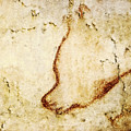 Chauvet Cave Bear Digital Art by Weston Westmoreland Chauvet Cave Bear Digital Art by Weston Westmoreland