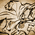 Chauvet Cave Lions Burned Leather Photograph by Weston Westmoreland Chauvet Cave Lions Burned Leather Photograph by Weston Westmoreland