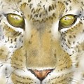 Cheetah face Digital Art by Darren Cannell Cheetah face Digital Art by Darren Cannell