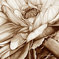 Chelsea's Bouquet 2 - Neutral Digital Art by Lori Taylor Chelsea's Bouquet 2 - Neutral Digital Art by Lori Taylor