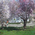 Cherry Blossom by Ylli Haruni Cherry Blossom by Ylli Haruni