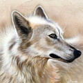 Cheyenne by Sandi Baker Cheyenne by Sandi Baker