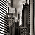 Chicago Architecture - 13 by Ely Arsha Chicago Architecture - 13 by Ely Arsha