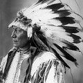 Chief Hollow Horn Bear by Frank Rinehart Chief Hollow Horn Bear by Frank Rinehart
