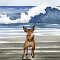 Chihuahua at the Beach Painting by David Rogers Chihuahua at the Beach Painting by David Rogers