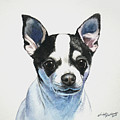 Chihuahua Black Spots with White Painting by Christopher Shellhammer Chihuahua Black Spots with White Painting by Christopher Shellhammer