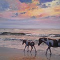 Chincoteague Horses by Paul Emig Chincoteague Horses by Paul Emig