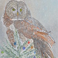 Christmas Owl by Patricia Novack Christmas Owl by Patricia Novack