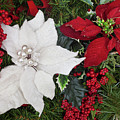 Christmas Poinsettias And Berries by Diane Macdonald
