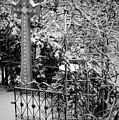 Christmas Snow in the Garden by Teresa Mucha Christmas Snow in the Garden by Teresa Mucha