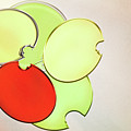 Circles Of Red, Yellow And Green by Donna Lee Circles Of Red, Yellow And Green by Donna Lee
