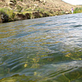 Classified River by J P Lambert Classified River by J P Lambert