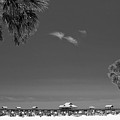 Clearwater Beach Bw by Adam Romanowicz Clearwater Beach Bw by Adam Romanowicz