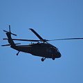 Closeup of Blackhawk Flying Over Pier Photograph by Colleen Cornelius Closeup of Blackhawk Flying Over Pier Photograph by Colleen Cornelius