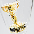 Closeup of small trophy in champagne flute. Gold colored award i Photograph by Jorgo Photography Closeup of small trophy in champagne flute. Gold colored award i Photograph by Jorgo Photography