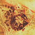 Closeup Of Wilted Daffodil On Fabric by Jorgo Photography - Wall Art Gallery Closeup Of Wilted Daffodil On Fabric by Jorgo Photography - Wall Art Gallery