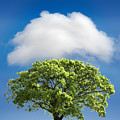 Cloud Cover Photograph by Mal Bray Cloud Cover Photograph by Mal Bray