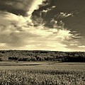 Clouds and Cornfields Photograph by Dani McEvoy Clouds and Cornfields Photograph by Dani McEvoy
