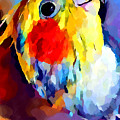 Cockatiel 2 by Chris Butler Cockatiel 2 by Chris Butler